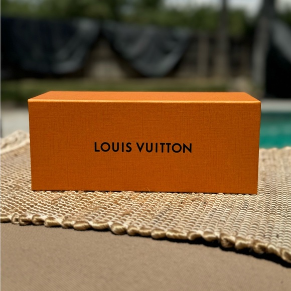 Louis Vuitton Storage Box Storage